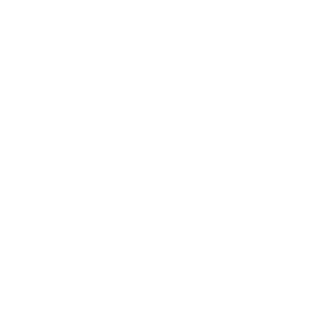 Caravan cleaning icon