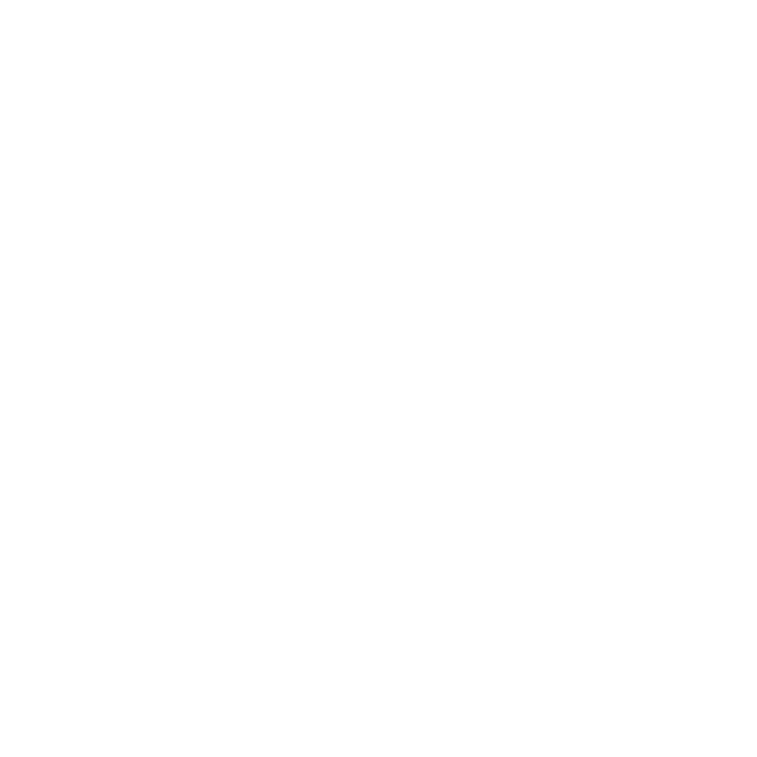 Commercial cleaning icon