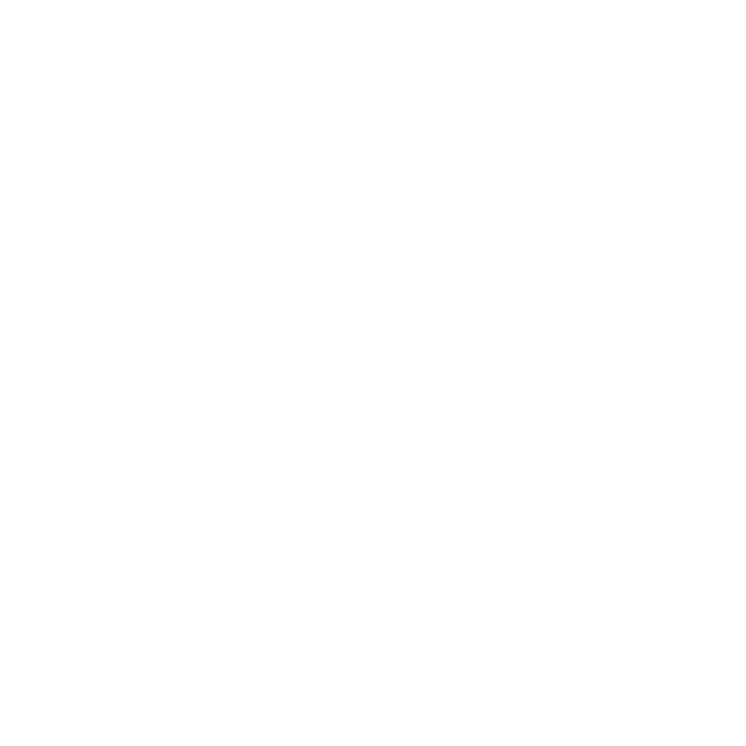 Domestic cleaning icon